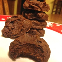 Butternut Squash Chocolate Cookies (Paleo)
